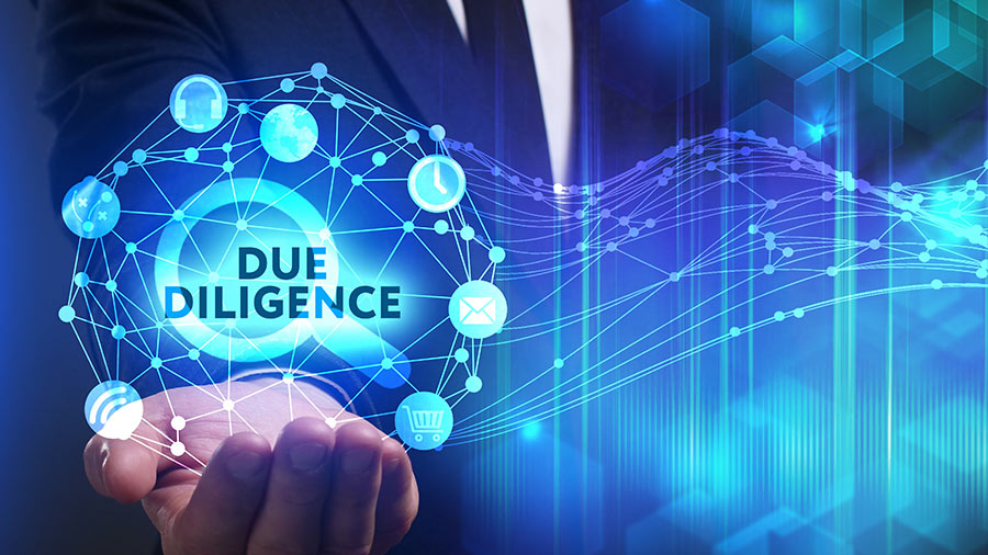 Due Diligence Background Checks